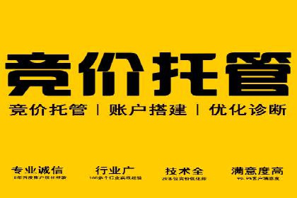 SEM服务公司经典案例集锦